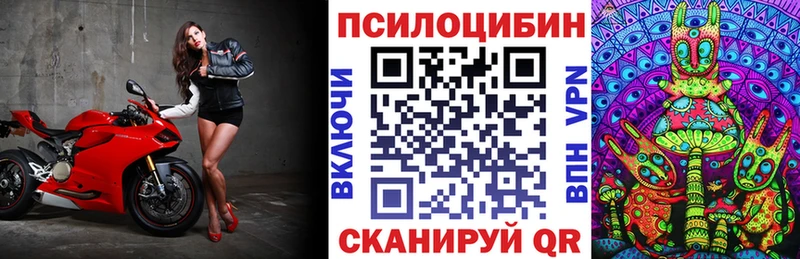 Галлюциногенные грибы мицелий Купить где Белая Холуница